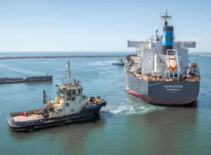 Varios barcos en el Puerto: China y Vietnam los principales destinos