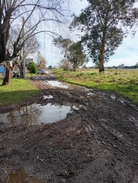 WhatsApp-Image-2025-07-17-at-12.20.53-548x728