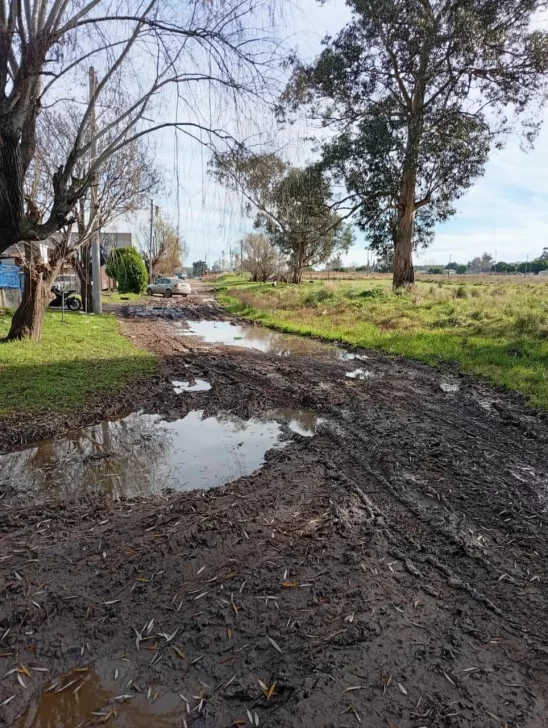 WhatsApp-Image-2025-07-17-at-12.20.53-548x728