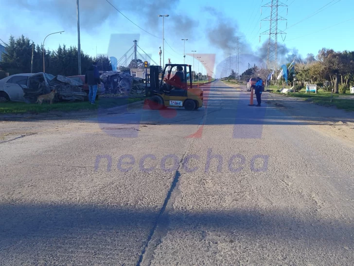 Limpieza y reordenamiento en dependencia vial de Quequén