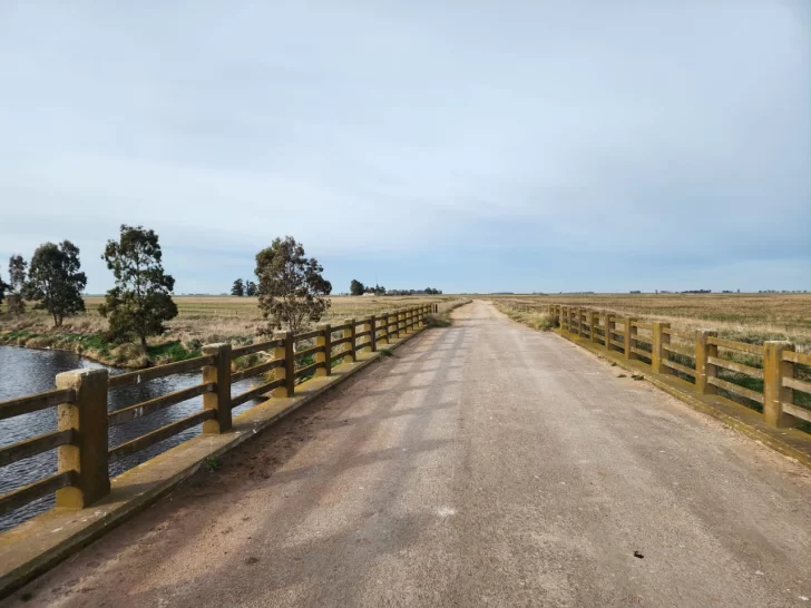 Coordinan trabajos para mejorar la calzada de los caminos rurales