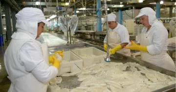 La temporada de pesca de calamar rompió el récord de capturas en 17 años