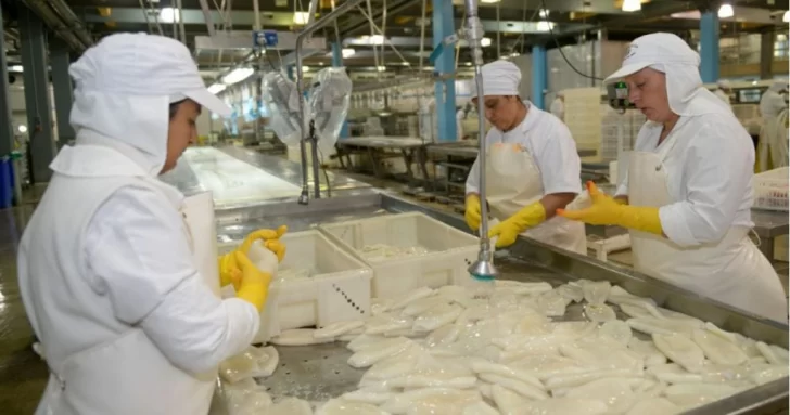 La temporada de pesca de calamar rompió el récord de capturas en 17 años