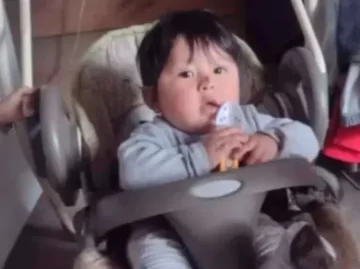 nene-muerto-la-plata-perros