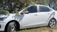 Macabro: encontraron muerta a una pareja adentro del auto en un camino rural