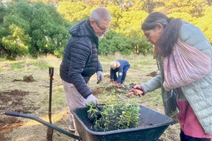 IMG-20250825-WA0017-728x485