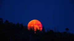 Una luna llena de sangre cargada de mensajes se verá en Argentina dentro de dos domingos