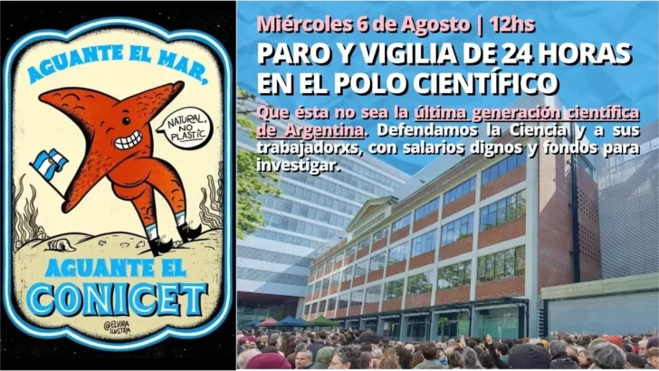 En medio del furor por el streaming submarino, el Conicet va al paro contra el ajuste de Milei
