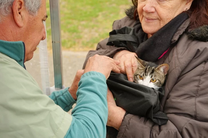 Hay nueva campaña gratuita de vacunación antirrábica este jueves