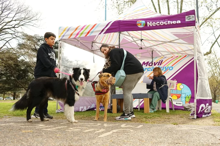 26-09-FOTO-vacunacion-antirrabica2-728x485