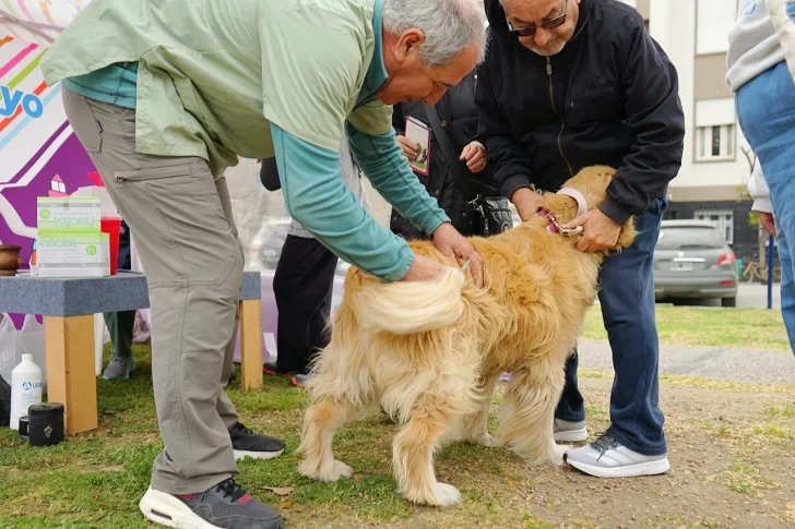 26-09-FOTO-vacunacion-antirrabica3-728x485