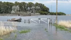 Declaran la emergencia agropecuaria en Buenos Aires