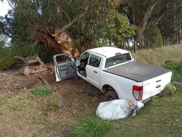 Fuerte choque en el camino viejo a Miramar: una camioneta se incrustó contra un árbol