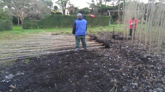 FOTO-ejemplares-Vivero