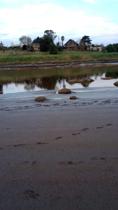 IMG-20250913-WA0101-410x728