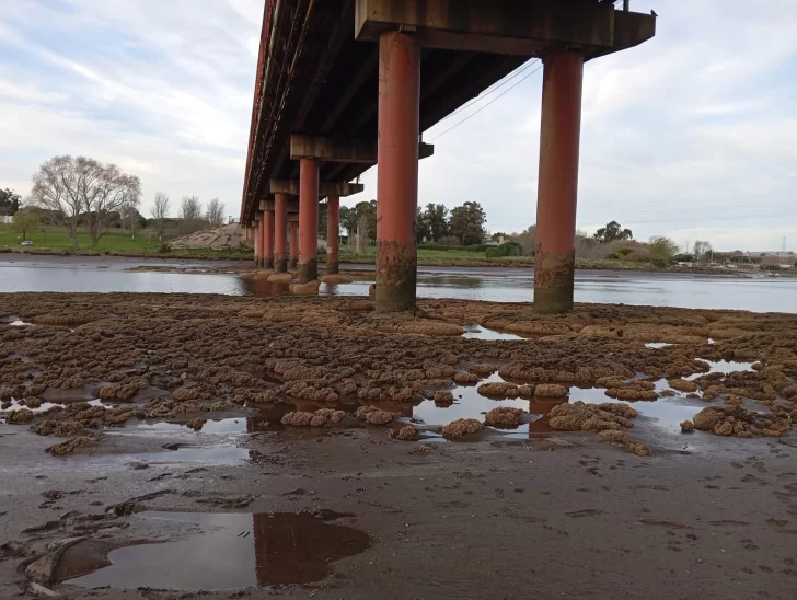 IMG-20250913-WA0111-728x548