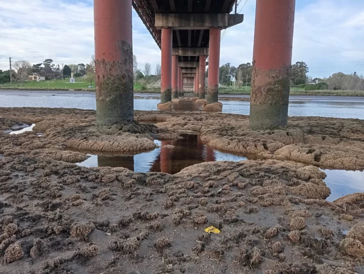 IMG-20250913-WA0112-728x548