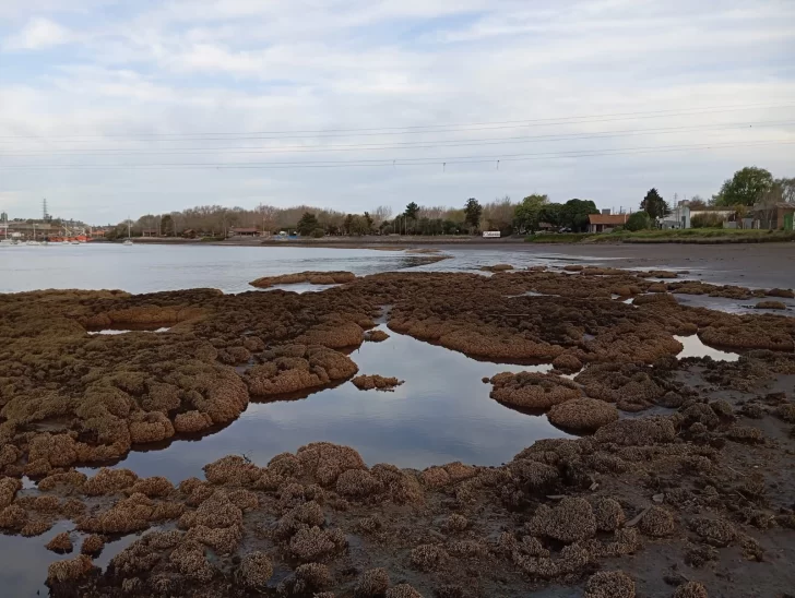 IMG-20250913-WA0113-728x548