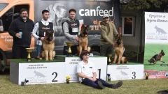 Los ovejeros alemanes siguen cosechando éxitos en el Torneo Nacional