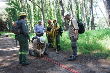 16-10-FOTO-practicas-forestales-Parque2-728x485
