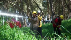 Simulacro: intensa capacitación para combatir incendios forestales