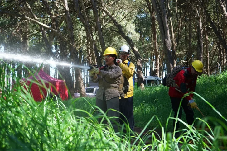 Simulacro: intensa capacitación para combatir incendios forestales
