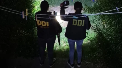 1761084958415-728x409