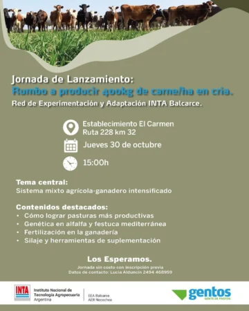 5fdd25ad-9840-4804-9e08-51fb34e884c0-728x910