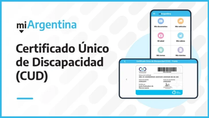 Proyecto busca que el CUD sea permanente para discapacidades irreversibles en Provincia