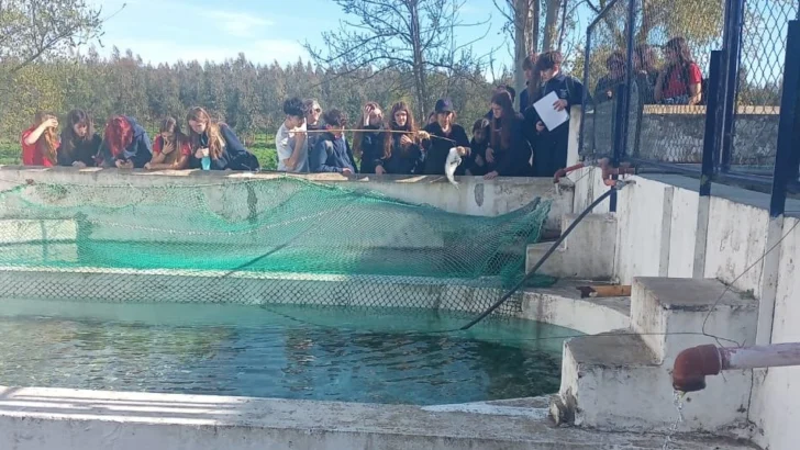 Alumnos del Cavagnaro profundizaron su proyecto con una visita a Piscicultura