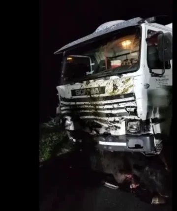 Grave accidente cerca de Energía: ganado suelto provoca la destrucción de un auto y un camión