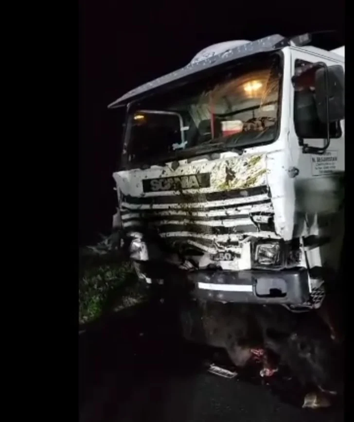 Grave accidente cerca de Energía: ganado suelto provoca la destrucción de un auto y un camión