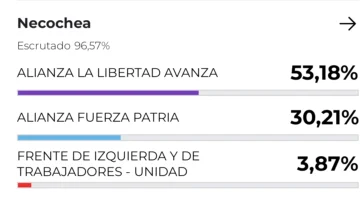 Screenshot_2025-10-26-21-40-51-086_ar.gob_.elecciones.argentina2025-edit-728x408