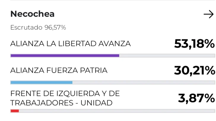 Screenshot_2025-10-26-21-40-51-086_ar.gob_.elecciones.argentina2025-edit-728x408