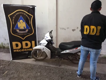 WhatsApp-Image-2025-10-02-at-13.42.59-728x546