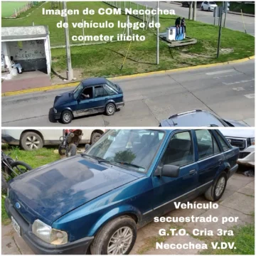 WhatsApp-Image-2025-10-11-at-11.41.44-728x728