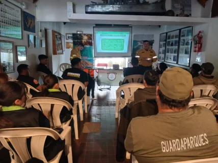 WhatsApp-Image-2025-10-15-at-8.32.31-AM-728x546