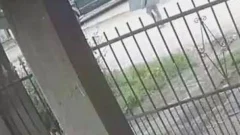 Robó y quedó registrado en una cámara de seguridad