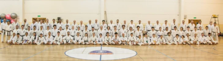 todos-1-728x201