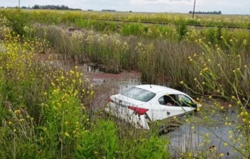 Despiste insólito en Ruta 2: una abeja causó que terminaran en una zanja con agua