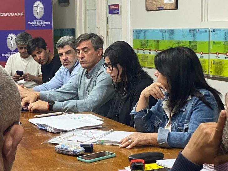 La Maltería está a la espera del Certificado de Aptitud Ambiental de la Provincia