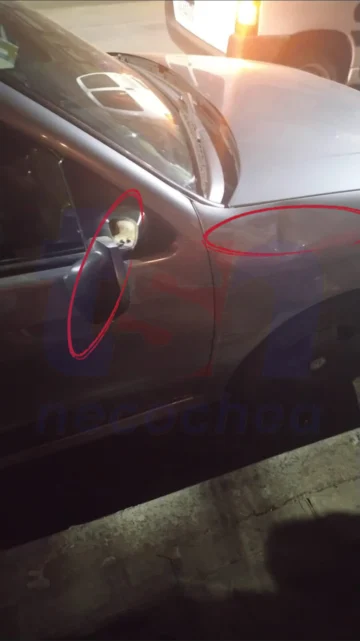 IMG-20251115-WA0010-728x1296