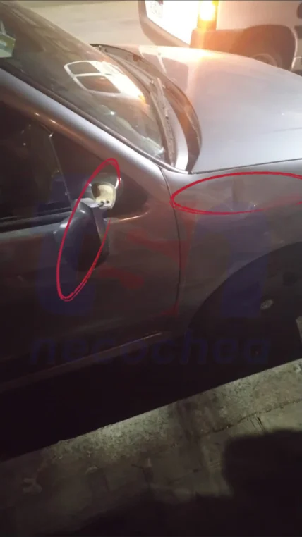 IMG-20251115-WA0010-728x1296