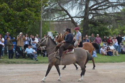 IMG-20251129-WA0089-728x482