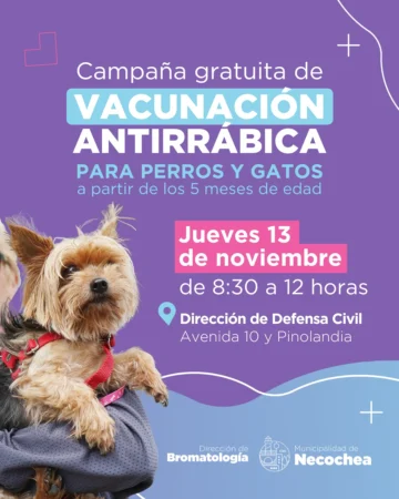 PLACA-vacunacion-antirrabica-728x910