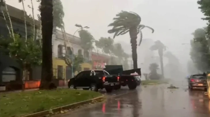 Estiman en 5 millones de hectáreas afectadas por las lluvias en la provincia de Buenos Aires