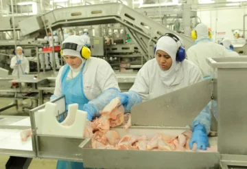 La mayor avícola argentina en problemas de actividad