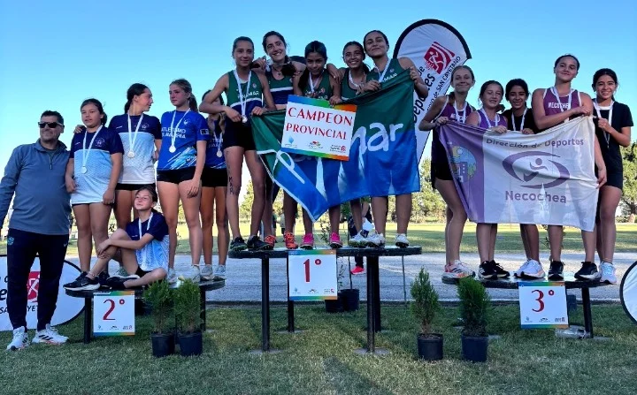 Screenshot_20251124_1415292