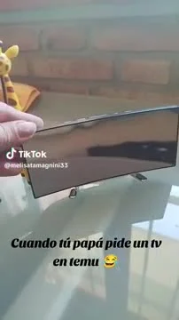 Pidió una TV por Temu y no pudo creer lo que le llegó: el video viral