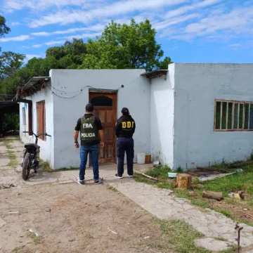 WhatsApp-Image-2025-11-07-at-20.19.31-1-728x728